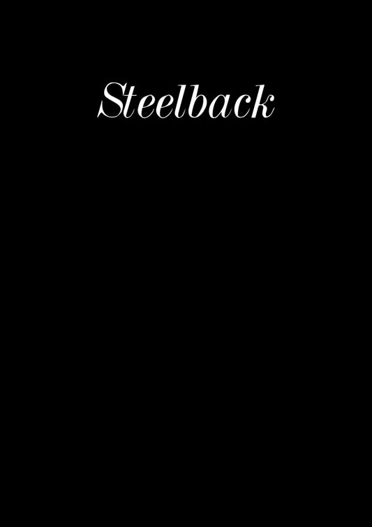 E-Book I Steelback™ Key-Organizer Guide